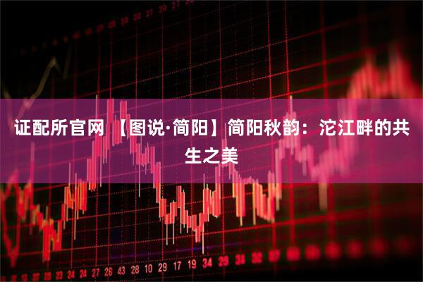 证配所官网 【图说·简阳】简阳秋韵：沱江畔的共生之美