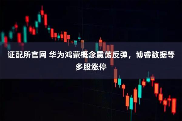 证配所官网 华为鸿蒙概念震荡反弹，博睿数据等多股涨停