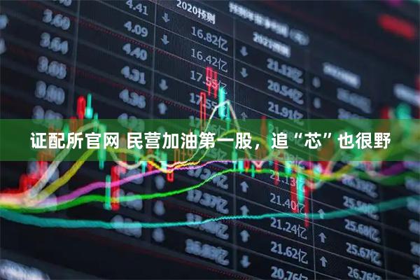 证配所官网 民营加油第一股，追“芯”也很野