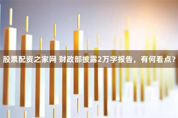 股票配资之家网 财政部披露2万字报告，有何看点？
