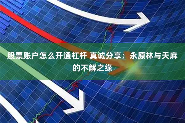 股票账户怎么开通杠杆 真诚分享：永原林与天麻的不解之缘
